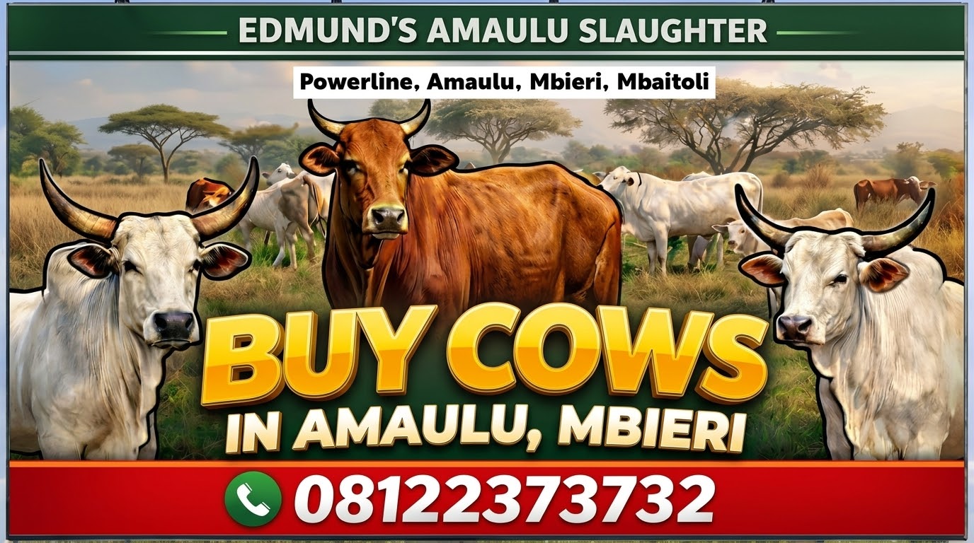 Edmund's Amaulu Slaughter