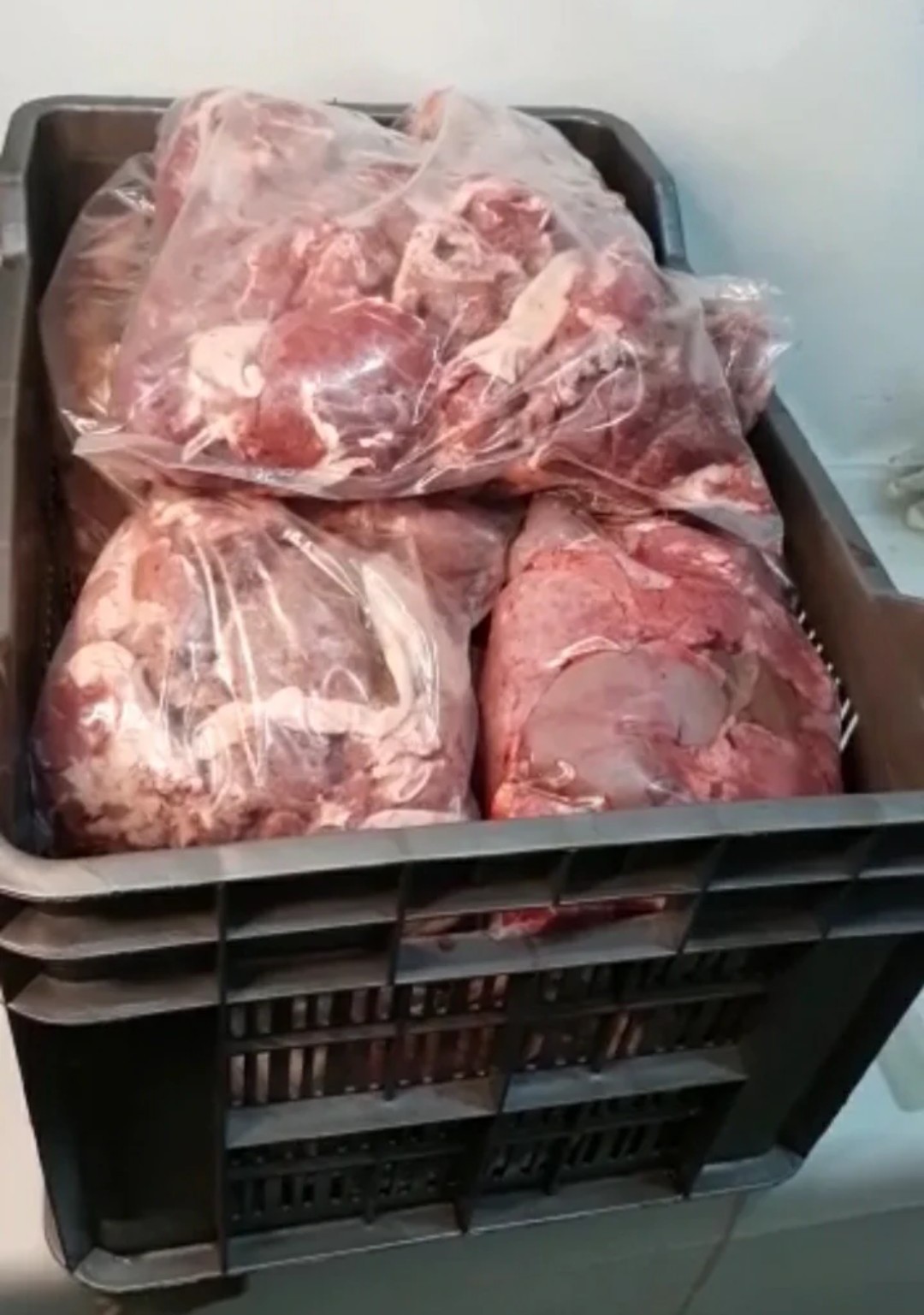 Jumbo Share (Cow Sharing)